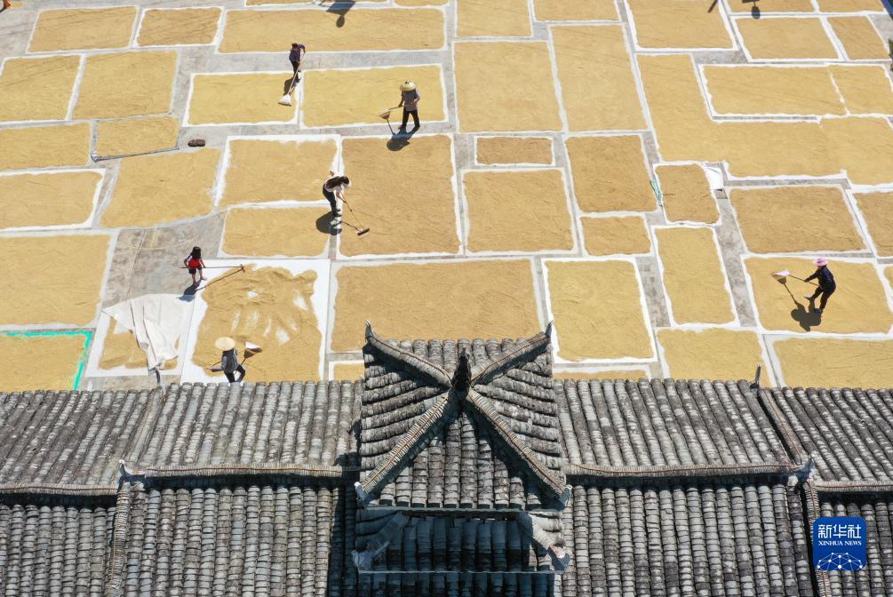 帝豪棋牌怎么样
